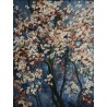Cherry symphony (0457)