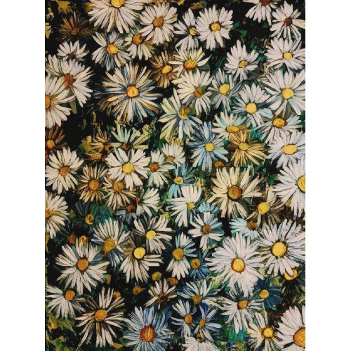 Daisy flowers (0491)