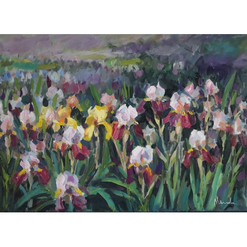 Field with irises (0100)