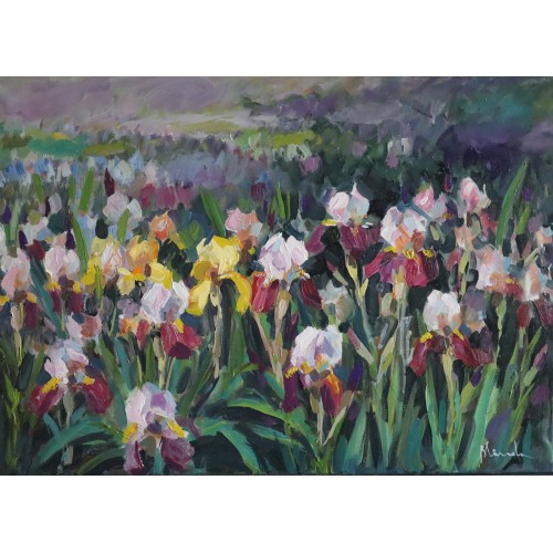 Field with irises