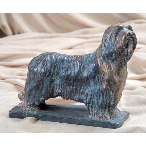 Bearded Collie (0333)